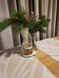 Postel nebo postele na pokoji v ubytování Jono kalnelis Apartments