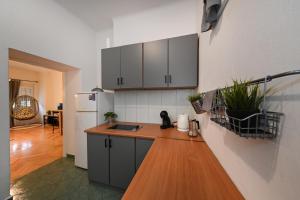 Kuchyňa alebo kuchynka v ubytovaní Zara Apartment