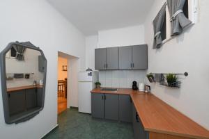Kuchyňa alebo kuchynka v ubytovaní Zara Apartment