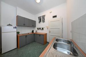 Kuchyňa alebo kuchynka v ubytovaní Zara Apartment