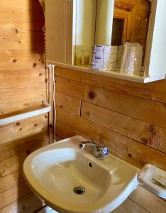 a bathroom with a sink and a mirror at B&B Snow Village Roccaraso in Roccaraso