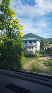 Widok na góry z tego apartamentu