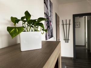a plant in a white pot sitting on top of a table at Cozy Residental Apartment in Košice