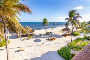 a beach with palm trees and chairs and the ocean at Lighthouse Beach Villas in San Pedro