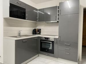 cocina con armarios grises, fregadero y nevera en Fully equipped apartment 3 rooms 5 Bed, en Hamburgo