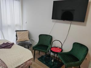 TV i/ili multimedijalni sistem u objektu Divčibare Jezero apartman 25