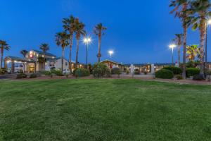 a yard with palm trees and houses at night at Best Western Plus King's Inn and Suites in Kingman
