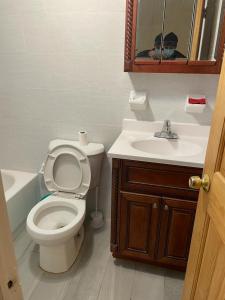 ein Badezimmer mit einem WC, einem Waschbecken und einem Spiegel in der Unterkunft 808 New Jersey Ave Brooklyn, NY 11207 in Brooklyn
