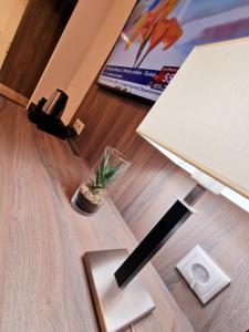 TV a/nebo společenská místnost v ubytování Sophien Hotel
