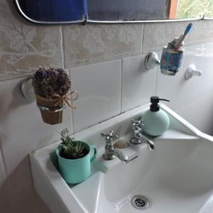 un lavabo con dos plantas. en Beleza Pura B&B, en Balneario Buenos Aires