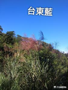 znak z ogrodu z drzewami i roślinami w obiekcie Ju Jia Xiao Zhan Homestay w mieście Guanshan