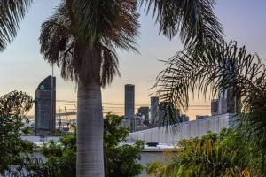 a palm tree in front of a city skyline at Classic Brisbane Queenslander with Pool & Yard in Brisbane