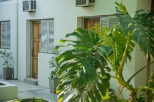 una casa con plantas frente a un edificio en Hotel Anmara en San Juan