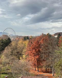 a ferris wheel in the middle of a park with trees at Apartman Floresta - In front of Japanese Garden, enchanting nature view, spotless and cozy in Vrnjačka Banja