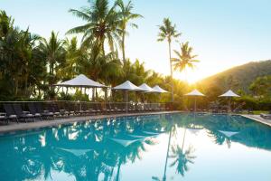 una piscina con sillas, sombrillas y palmeras en Reef View Hotel en Isla Hamilton