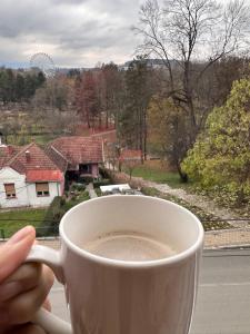 a person holding a cup of coffee on a window at Apartman Floresta - In front of Japanese Garden, enchanting nature view, spotless and cozy in Vrnjačka Banja
