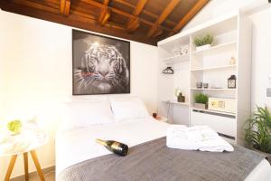 ein Schlafzimmer mit einem Bett mit einem Bild eines Zebras in der Unterkunft Flats Una's Corner - Novos - Ar Condicionado in Barra do Una
