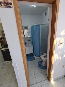 een badkamer met een douche en een toilet. bij Apartments by the sea Sveti Petar, Biograd - 6167 in Sveti Filip i Jakov