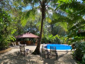 a pool with chairs and a table and a palm tree at Casa Colores in Montezuma