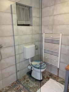 a bathroom with a toilet and a glass shower at Holiday house with a parking space Cujica Krcevina, Plitvice - 20257 in Plitvička Jezera