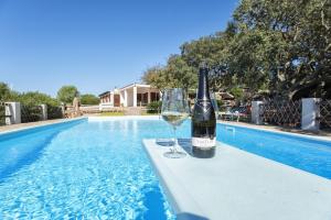 The swimming pool at or close to Villa Olive tree, immersa nella natura per relax e quiete