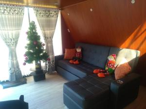 sala de estar con sofá azul y árbol de Navidad en Glamping y Cabañas el Encanto-Girasoles, en Tota