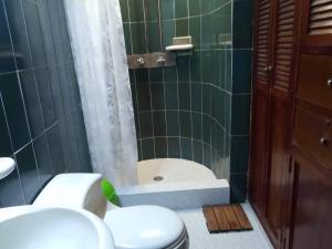 ein Badezimmer mit einer Dusche, einem WC und einer Badewanne in der Unterkunft Chalet a orillas del rio Pance in Cali