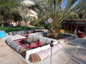 a row of couches with a table and a palm tree at Siwa Spot - Authentic Siwan Room with Private Patio in Siwa