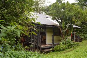 a small house in the middle of a garden at Skale Peregrino in Choachí