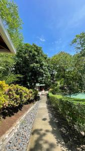 a walkway in a park with trees and a house at Hotel Cerro Lodge in Tárcoles
