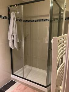 La salle de bains est pourvue d'une douche avec une porte en verre. dans l'établissement Superbe appartement parking gratuit 2, à Aulnay-sous-Bois