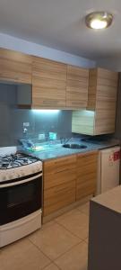 布宜諾斯艾利斯的住宿－San Telmo apartment，厨房配有木制橱柜和炉灶烤箱。
