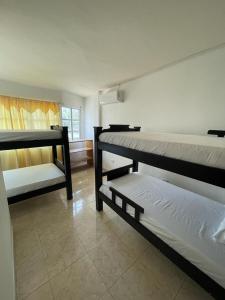 Cette chambre comprend 2 lits superposés et une fenêtre. dans l'établissement Nativo Kite House, à La Boquilla