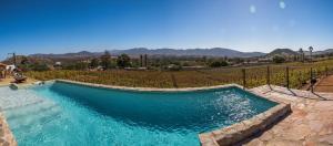 a swimming pool with blue water in front of a vineyard at Rancho Cien Piedras in Valle de Guadalupe