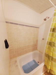 y baño con bañera y cortina de ducha. en LasMagnolias en San Carlos de Bariloche