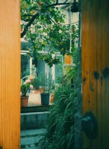 Un jardín fuera de Honglin Houseg虹林的小院 防疫整栋 古城里温馨私家小院 享受大理慢时光 树下喝茶聊天 烧烤娱乐自助厨房 休闲好去处