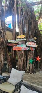 a tree with signs on it next to a chair at BAMBAM Hostel in Coron