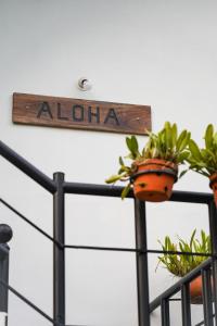 Certifikát, hodnocení, plakát nebo jiný dokument vystavený v ubytování Aloha Homestay