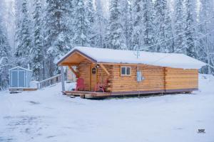 Το 1 Bd. Deluxe Log DRY Cabin| Views Northern Lights! τον χειμώνα