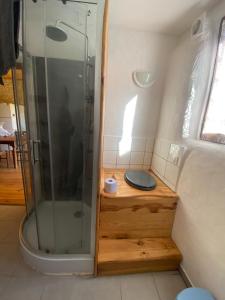 een douche in een kleine badkamer met een toilet bij Gîte atypique in Borrèze