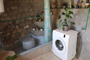 a washing machine with a plant on top of it at KAMENGRAD CUPICA in Danilovgrad