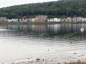 a body of water with buildings in the background at Ivy Court Apartment in Rothesay