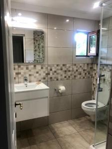 y baño con aseo, lavabo y espejo. en BUCEGI VIEW APARTAMENT, en Sinaia