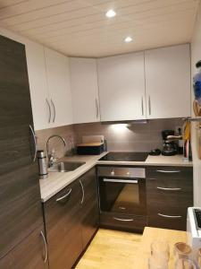 uma cozinha com electrodomésticos de aço inoxidável e armários brancos em Lyngen Panorama, Solberget em Storsletta