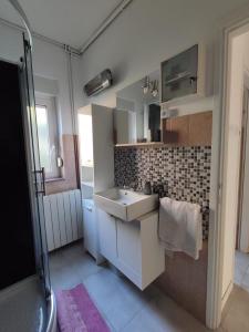 La petite salle de bains est pourvue d'un lavabo et d'une douche. dans l'établissement Apartment Ana, à Rijeka