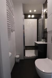 La salle de bains est pourvue de toilettes, d'un lavabo et d'une douche. dans l'établissement Kwiatowa Warsaw Apartment, à Varsovie