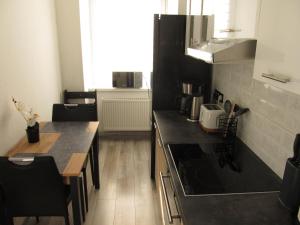 Kuchyň nebo kuchyňský kout v ubytování Appartment Ipsum
