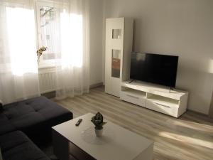 TV a/nebo společenská místnost v ubytování Appartment Ipsum