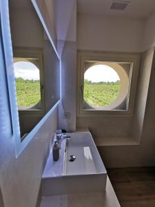 a bathroom with a sink and two windows at Agriturismo e Acetaia la Vedetta in Castelvetro di Modena