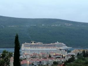 a cruise ship in the water next to a city at Perfect Place 2 - Djenovici in Đenovići